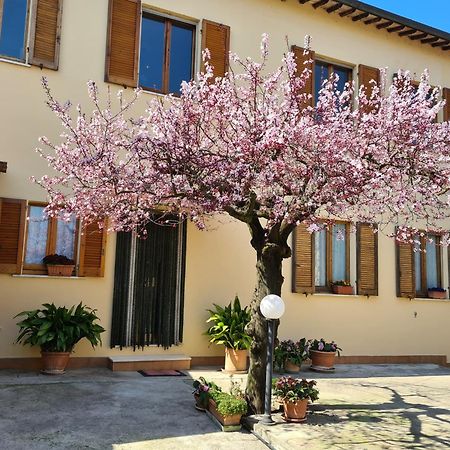 B&B Barbara Assisi 칸나라 외부 사진